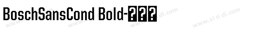 BoschSansCond Bold字体转换